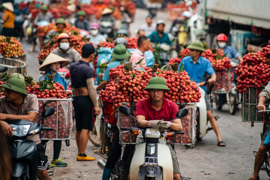 Viajar a Vietnam desde España